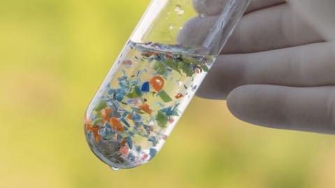 Microplastics can spread dangerous pathogens: scientists