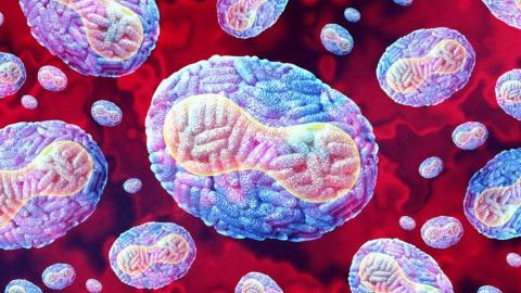 Mpox infections may outnumber diagnosed cases 33 to 1, study suggests