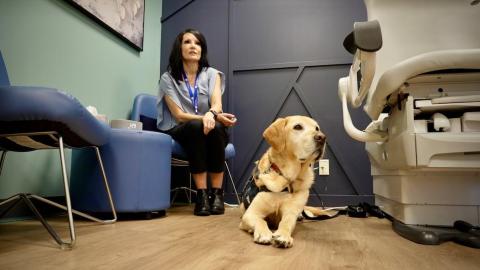 New central Alberta sexual assault centre helps patients, hospital backlogs