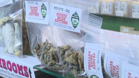 New clinical trial in Ontario uses magic mushrooms to treat anxiety