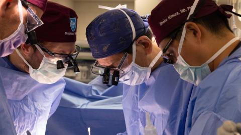 New Hampshire man gets pig kidney as a transplant ahead of trials