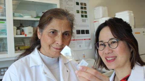New injectable gel shows promise as voice loss treatment