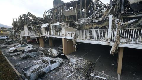 New studies tie unrecognized deaths and health problems to Maui and LA wildfires