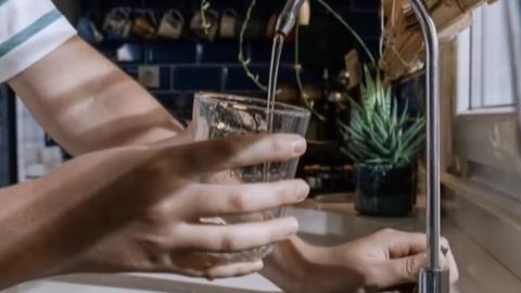 New study reveals no negative effects of fluoride on brain function