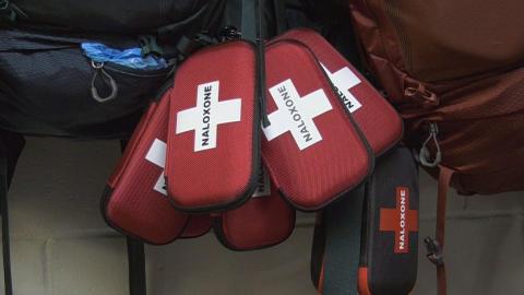 New synthetic opioid leading to overdoses in Montreal