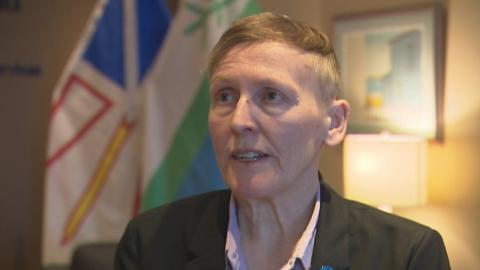 N.L. doctor recruitment program was defrauded $450K, but minister remains committed to bonuses