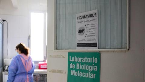 'No indication' Andes strain of hantavirus has mutated: EU agency