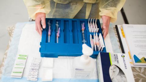 Northern nurses' body splits into two groups with differing roles