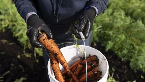 N.S. migrant workers will not immediately gain access to public health care