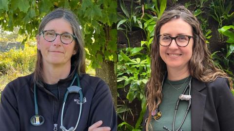 Ontario doctors raise flags over quality of in-home nursing care for dying patients