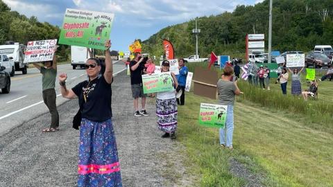 Ontario's use of herbicides in forestry makes it 'scary' to gather from the land, First Nation woman says