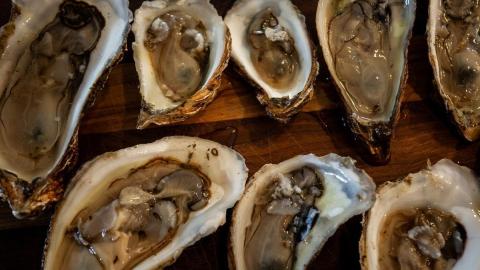 Ottawa limits movement of oysters in Atlantic Canada, Quebec to limit disease spread