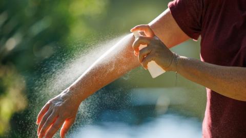 Ottawa sees first human case of West Nile virus this year