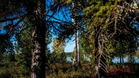 'Our community is grieving': Long Lake #58 First Nation extends state of emergency over drug trafficking