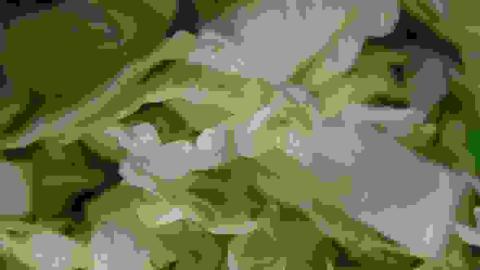 Parasite that caused illnesses in 30 states tied to iceberg lettuce. Here's how the investigation unfolded