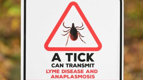 Patient highlights barriers in getting help for Lyme disease