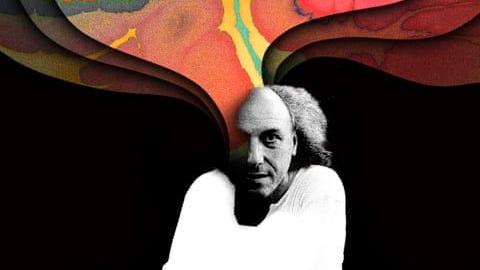 'People pay to be told lies': the rise and fall of the world's first ayahuasca multinational