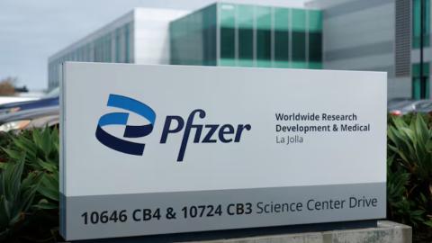 Pfizer valneva lyme disease shot shows more than 70 efficacy late stage trial