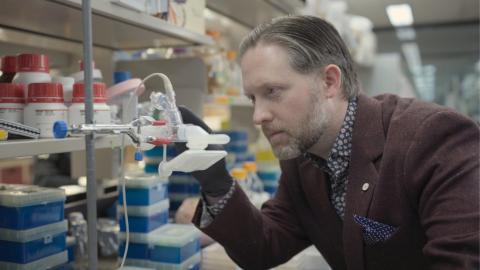 Promising results from Phase 1 human trials of McMaster's inhaled COVID-19 vaccine