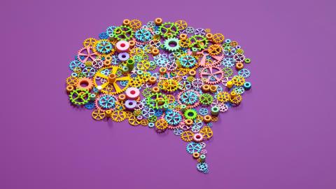 Psychologists are increasingly using – and worrying about – AI tools, poll finds