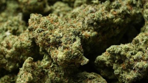 Reclassifying marijuana as a less dangerous drug might only be the first step for Trump