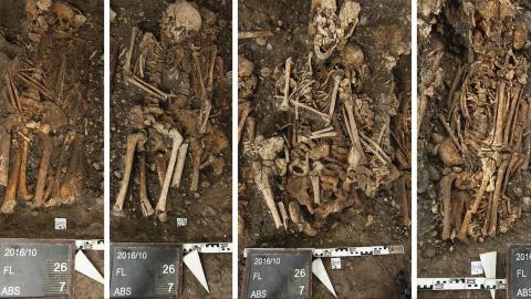 Researchers draw historical parallels between victims of bubonic plague and COVID-19