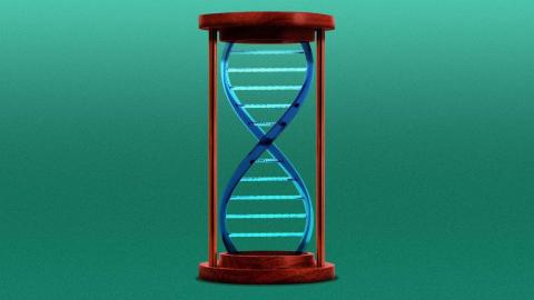 Researchers identify four distinct types of autism