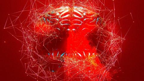 Scientists Intrigued by Pill That May Heal Brain After Stroke or Brain Injury
