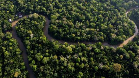 Scientists try to prove link between Amazon gold mining and disabilities in babies