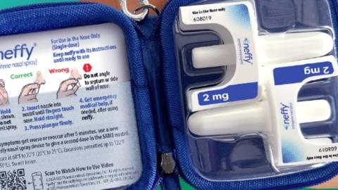 Spray allergy treatment approved for use in Canada