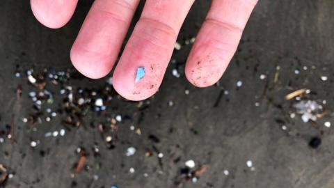Study examines link between microplastics and dementia