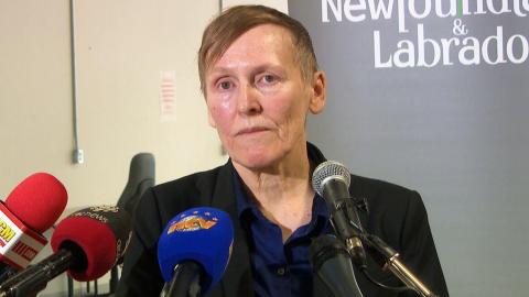 'The door was closed on our province': Feds not offering pharmacare to N.L., says health minister