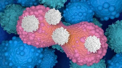 The emerging cancer treatment that's exciting scientists: 'We've just scratched the surface on what's possible'