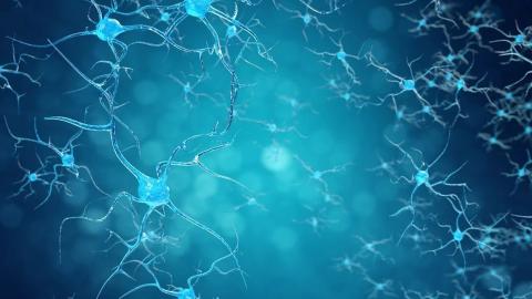 There is no known cure for ALS, but medical tourism exploits desperation for profit