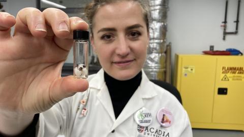 Thousands of ticks to be raised in new research lab at N.S. university