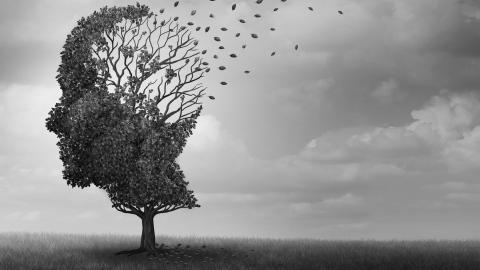 Three factors will stall dementia and the aging process, according to new U.S. study