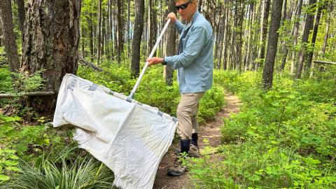 Ticks are migrating, but scant surveillance may leave doctors in the dark when it comes to treating patients