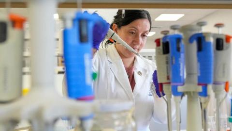 Tools to fight hantavirus show promise despite limited funding. Now researchers hope to continue