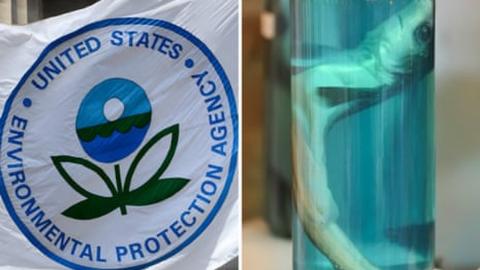 Trump EPA relied on industry science to weaken formaldehyde cancer rules, documents show
