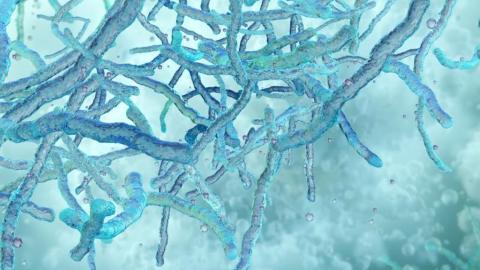 Ultrasensitive test detects tuberculosis DNA in unexpected number of US patients