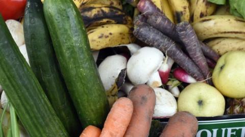 Unpopular diet for cancer patients gets another look