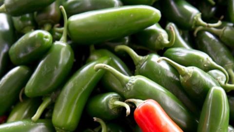 U.S. salmonella outbreak linked to jalapenos spreads in 27 states
