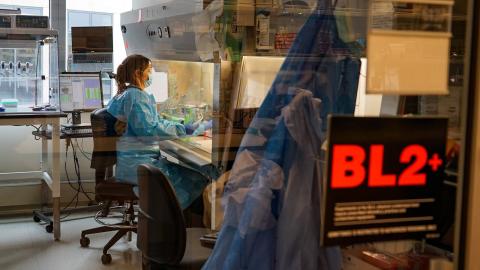 US Scientists Sequence 1,000 Genomes From Measles, a Disease Long Eliminated With Vaccines