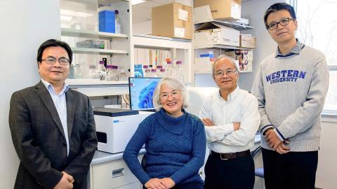 Using AI to discover new drugs for fighting cancer and infectious disease