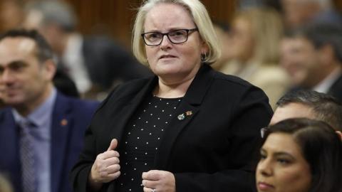 Veterans Affairs minister announces 'independent review' of rehab program that former soldiers say has failed them