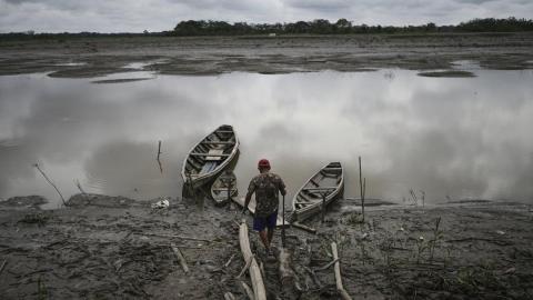 Well-preserved Amazon rainforest on Indigenous lands can protect people from diseases, study finds