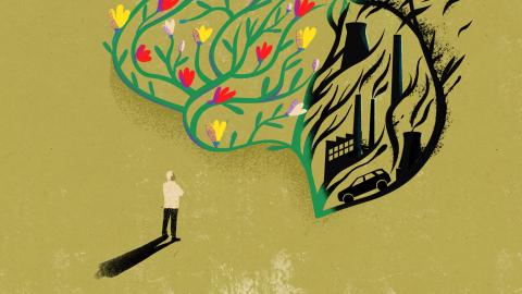 What the Air You Breathe May Be Doing to Your Brain
