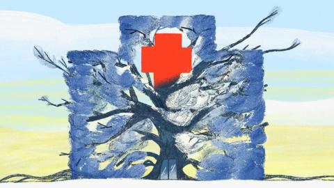 When the Doctor Needs a Checkup