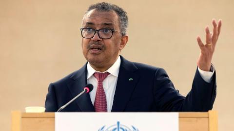 WHO seeks evidence for traditional medicine using AI tools