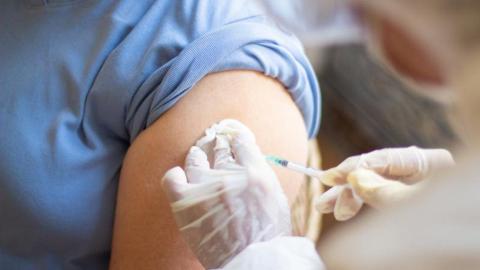 WHO updates all 3 viral strains to be included in fall flu shots
